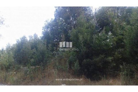 Terra a Cabeca Santa, Porto, Cabeca Santa - € 150.000 | Ref: MC07632 - foto 3