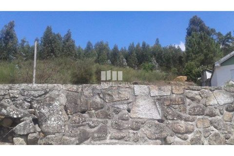 Terra a Cabeca Santa, Porto, Cabeca Santa - € 150.000 | Ref: MC07632 - foto 4