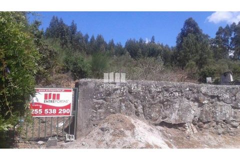 Terra a Cabeca Santa, Porto, Cabeca Santa - € 150.000 | Ref: MC07632 - foto 5