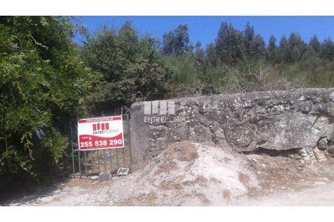 Terra a Cabeca Santa, Porto, Cabeca Santa - € 150.000 | Ref: MC07632 - foto 6