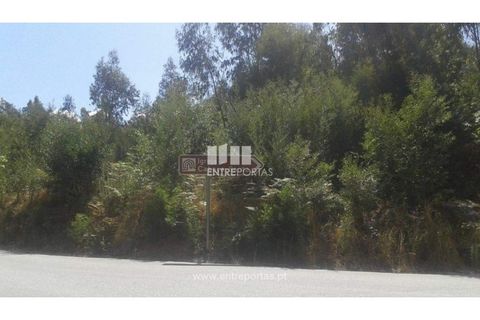 Terra a Cabeca Santa, Porto, Cabeca Santa - € 150.000 | Ref: MC07632 - foto 7