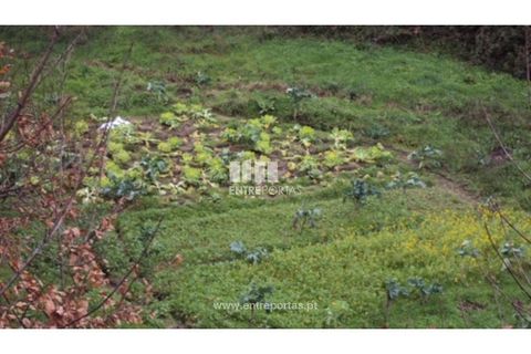 Terra a Ancede e Ribadouro, Porto, Ancede e Ribadouro - € 32.500 | Ref: MC07694 - foto 13