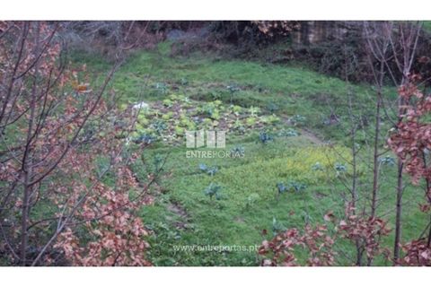 Terra a Ancede e Ribadouro, Porto, Ancede e Ribadouro - € 32.500 | Ref: MC07694 - foto 19