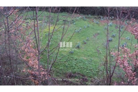Terra a Ancede e Ribadouro, Porto, Ancede e Ribadouro - € 32.500 | Ref: MC07694 - foto 29