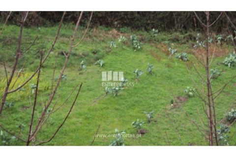 Terra a Ancede e Ribadouro, Porto, Ancede e Ribadouro - € 32.500 | Ref: MC07694 - foto 30