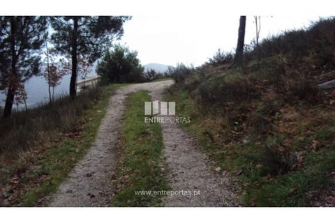 Helårsgrund i Ancede e Ribadouro, Porto, Ancede e Ribadouro - € 66.000 | Ref: MC07695 - foto 2