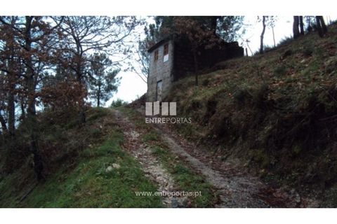 Helårsgrund i Ancede e Ribadouro, Porto, Ancede e Ribadouro - € 66.000 | Ref: MC07695 - foto 3