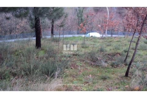 Helårsgrund i Ancede e Ribadouro, Porto, Ancede e Ribadouro - € 66.000 | Ref: MC07695 - foto 6
