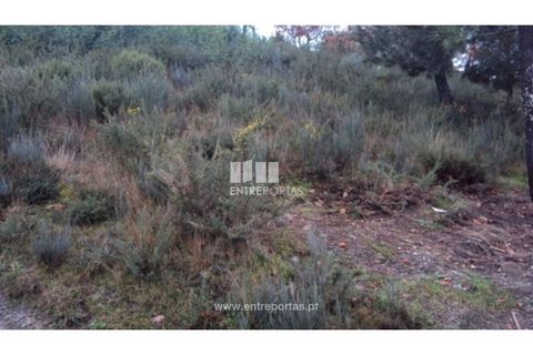 Helårsgrund i Ancede e Ribadouro, Porto, Ancede e Ribadouro - € 66.000 | Ref: MC07695 - foto 7
