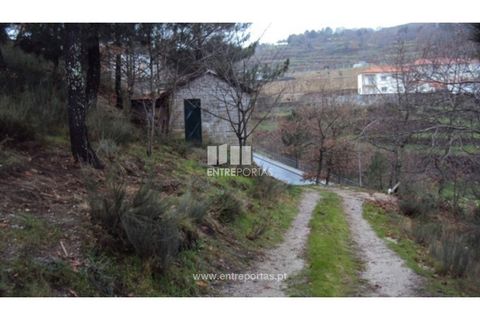 Helårsgrund i Ancede e Ribadouro, Porto, Ancede e Ribadouro - € 66.000 | Ref: MC07695 - foto 8