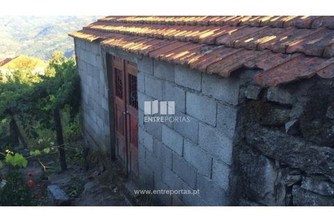 Terra a Ancede e Ribadouro, Porto, Ancede e Ribadouro - € 20.000 | Ref: MC07772 - foto 3