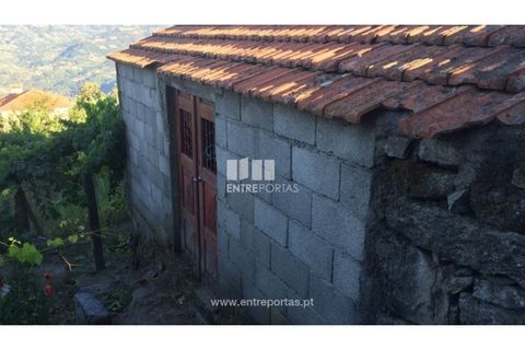 Terra a Ancede e Ribadouro, Porto, Ancede e Ribadouro - € 20.000 | Ref: MC07772 - foto 5