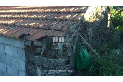 Terra a Ancede e Ribadouro, Porto, Ancede e Ribadouro - € 20.000 | Ref: MC07772 - foto 7