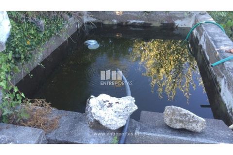 Terra a Ancede e Ribadouro, Porto, Ancede e Ribadouro - € 20.000 | Ref: MC07772 - foto 8
