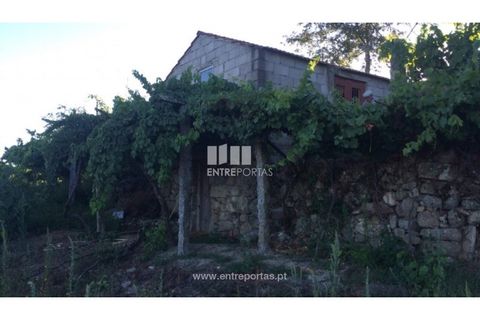 Terra a Ancede e Ribadouro, Porto, Ancede e Ribadouro - € 20.000 | Ref: MC07772 - foto 9