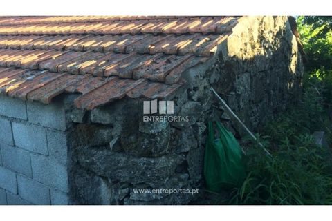 Terra a Ancede e Ribadouro, Porto, Ancede e Ribadouro - € 20.000 | Ref: MC07772 - foto 10