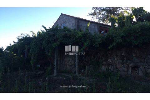 Terra a Ancede e Ribadouro, Porto, Ancede e Ribadouro - € 20.000 | Ref: MC07772 - foto 11