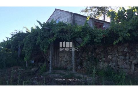 Terra a Ancede e Ribadouro, Porto, Ancede e Ribadouro - € 20.000 | Ref: MC07772 - foto 12