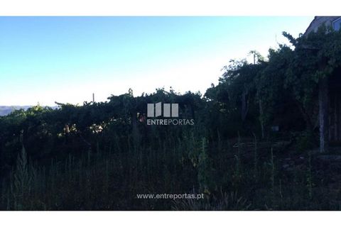 Terra a Ancede e Ribadouro, Porto, Ancede e Ribadouro - € 20.000 | Ref: MC07772 - foto 13