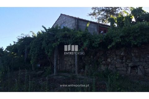 Terra a Ancede e Ribadouro, Porto, Ancede e Ribadouro - € 20.000 | Ref: MC07772 - foto 14