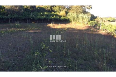 Terra a Ancede e Ribadouro, Porto, Ancede e Ribadouro - € 20.000 | Ref: MC07772 - foto 15