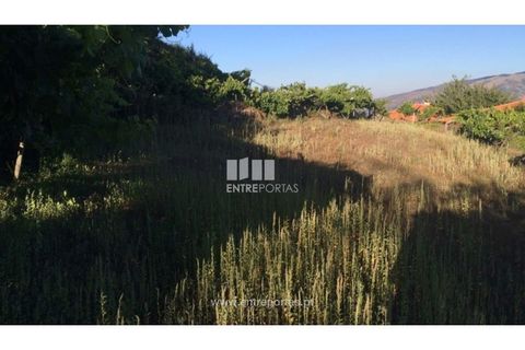 Terra a Ancede e Ribadouro, Porto, Ancede e Ribadouro - € 20.000 | Ref: MC07772 - foto 16