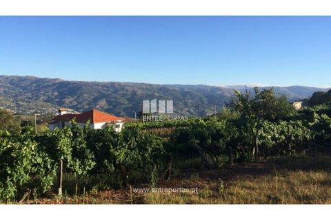 Terra a Ancede e Ribadouro, Porto, Ancede e Ribadouro - € 20.000 | Ref: MC07772 - foto 17