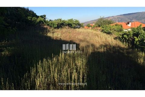 Terra a Ancede e Ribadouro, Porto, Ancede e Ribadouro - € 20.000 | Ref: MC07772 - foto 18
