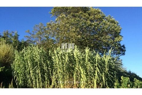 Terra a Ancede e Ribadouro, Porto, Ancede e Ribadouro - € 20.000 | Ref: MC07772 - foto 19