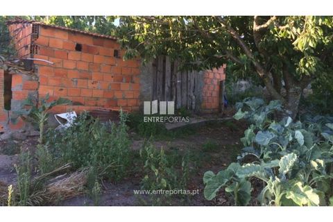 Terra a Ancede e Ribadouro, Porto, Ancede e Ribadouro - € 20.000 | Ref: MC07772 - foto 21