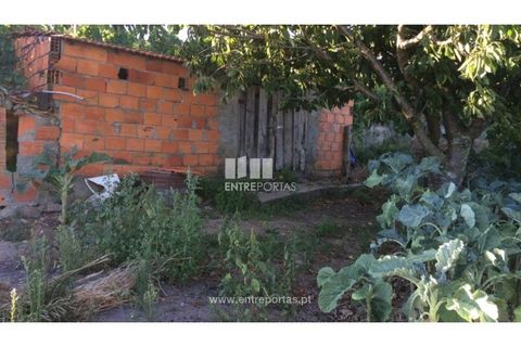 Terra a Ancede e Ribadouro, Porto, Ancede e Ribadouro - € 20.000 | Ref: MC07772 - foto 22