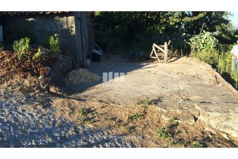Terra a Ancede e Ribadouro, Porto, Ancede e Ribadouro - € 20.000 | Ref: MC07772 - foto 23