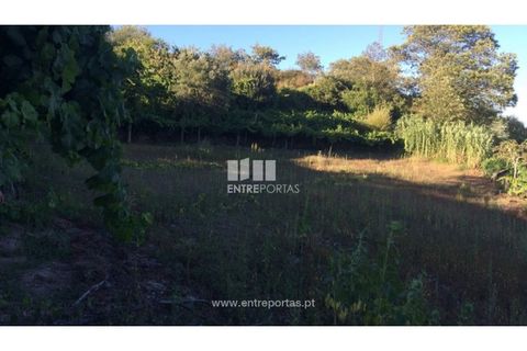 Terra a Ancede e Ribadouro, Porto, Ancede e Ribadouro - € 20.000 | Ref: MC07772 - foto 24