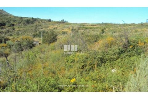 Terra a Ancede e Ribadouro, Porto, Ancede e Ribadouro - € 15.000 | Ref: MC07773 - foto 2
