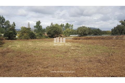 Helårsgrund i Darque, Viana do Castelo, Darque - € 82.000 | Ref: VCC12021(1) - foto 9