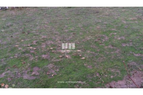 Tomt i Cinfaes, Viseu, Cinfaes - € 40 000 | Ref: MC07981 - foto 2