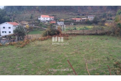 Tomt i Cinfaes, Viseu, Cinfaes - € 40 000 | Ref: MC07981 - foto 4