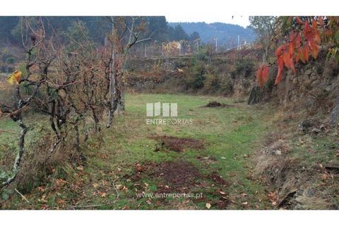 Tomt i Cinfaes, Viseu, Cinfaes - € 40 000 | Ref: MC07981 - foto 5
