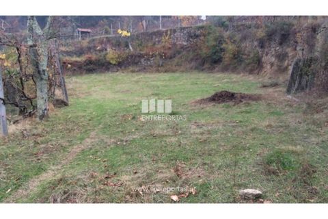 Tomt i Cinfaes, Viseu, Cinfaes - € 40 000 | Ref: MC07981 - foto 6