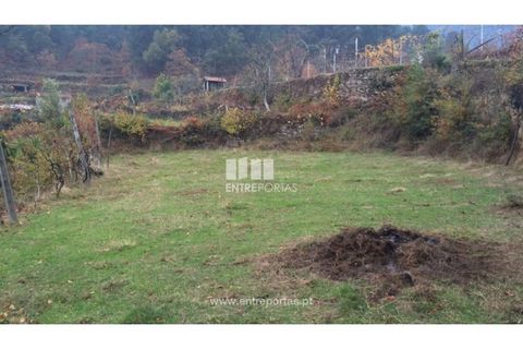 Tomt i Cinfaes, Viseu, Cinfaes - € 40 000 | Ref: MC07981 - foto 7