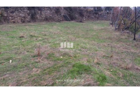 Tomt i Cinfaes, Viseu, Cinfaes - € 40 000 | Ref: MC07981 - foto 8