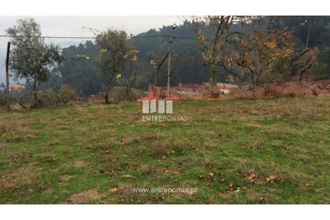 Tomt i Cinfaes, Viseu, Cinfaes - € 40 000 | Ref: MC07981 - foto 9
