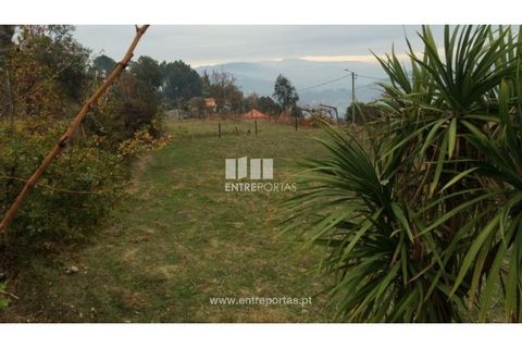 Tomt i Cinfaes, Viseu, Cinfaes - € 40 000 | Ref: MC07981 - foto 10