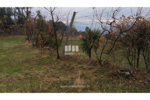 Tomt i Cinfaes, Viseu, Cinfaes - € 40 000 | Ref: MC07981 - foto 11