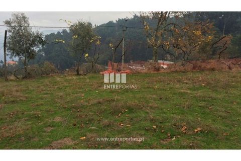 Tomt i Cinfaes, Viseu, Cinfaes - € 40 000 | Ref: MC07981 - foto 12