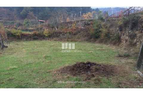 Tomt i Cinfaes, Viseu, Cinfaes - € 40 000 | Ref: MC07981 - foto 13