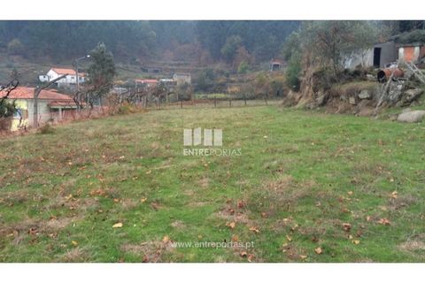 Tomt i Cinfaes, Viseu, Cinfaes - € 40 000 | Ref: MC07981 - foto 14