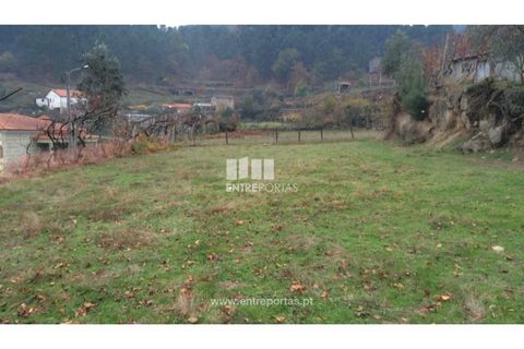Tomt i Cinfaes, Viseu, Cinfaes - € 40 000 | Ref: MC07981 - foto 15
