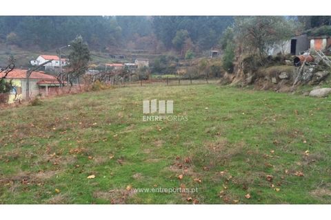 Tomt i Cinfaes, Viseu, Cinfaes - € 40 000 | Ref: MC07981 - foto 16