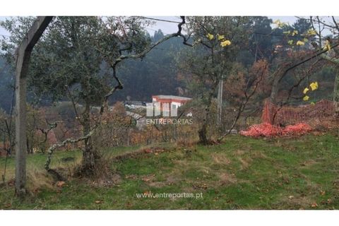 Tomt i Cinfaes, Viseu, Cinfaes - € 40 000 | Ref: MC07981 - foto 17